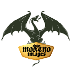 Moreno Images | Forever Creative